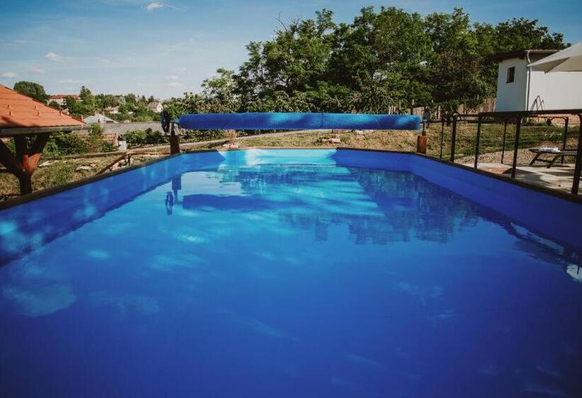 ペンション Buzás Pince Vendégház