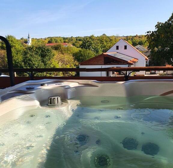 ペンション Buzás Pince Vendégház