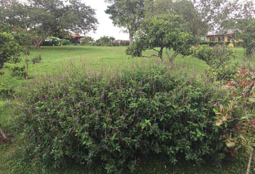 פנסיון Cabinas Lindo Horizonte