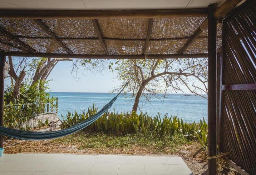 פנסיון El Hamaquero Hostal Econativo