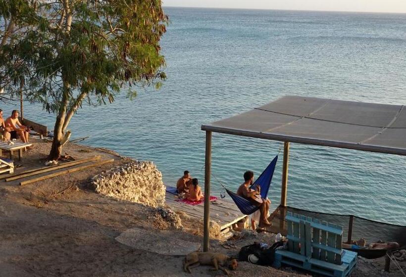 ペンション El Hamaquero Hostal Econativo