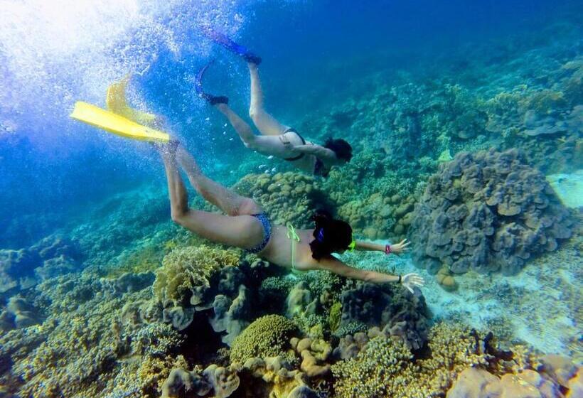 פנסיון El Hamaquero Hostal Econativo