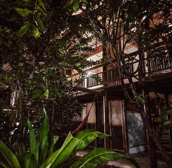 پانسیون El Hamaquero Hostal Econativo