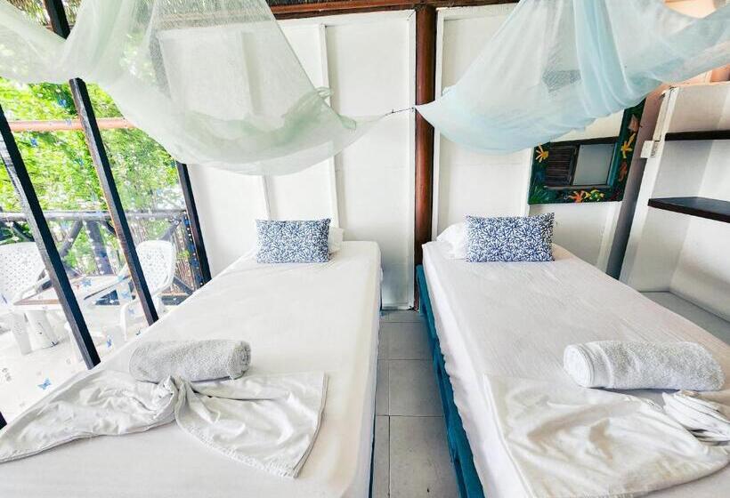 פנסיון El Hamaquero Hostal Econativo