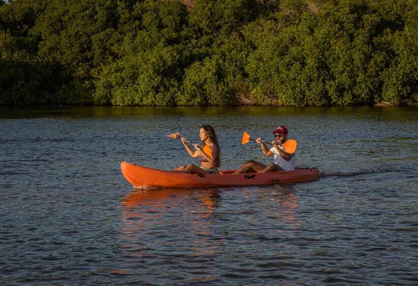 פנסיון El Hamaquero Hostal Econativo