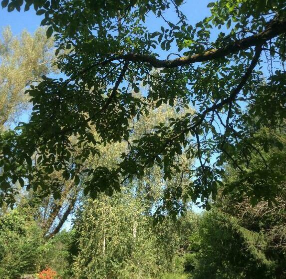 ペンション Fonfa Liget