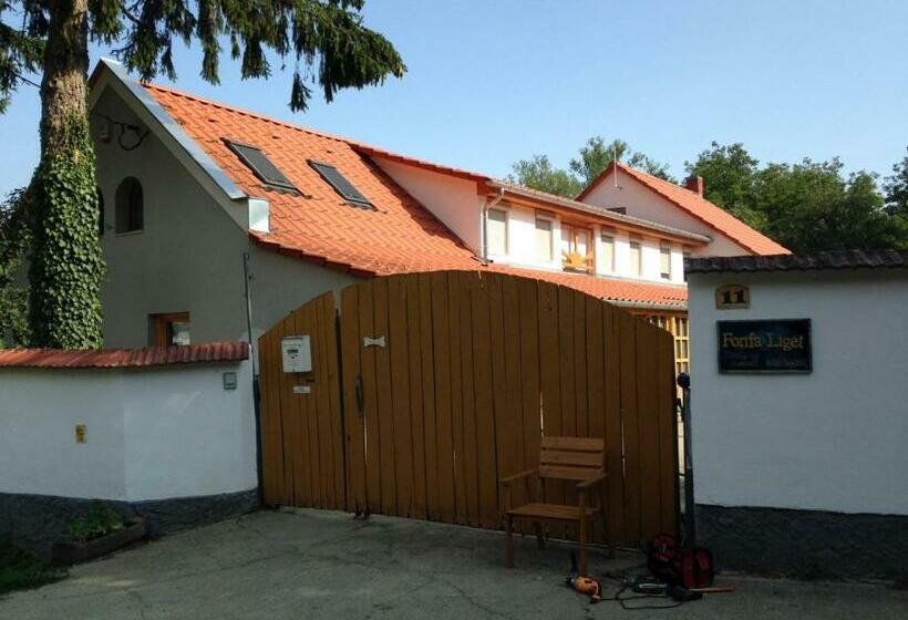 ペンション Fonfa Liget