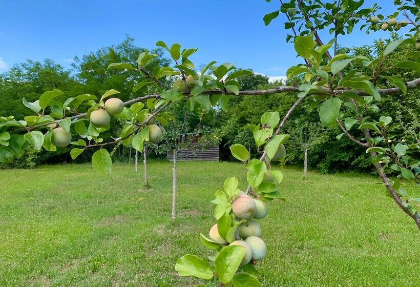 膳宿费 French Corréze Moulin Bleu