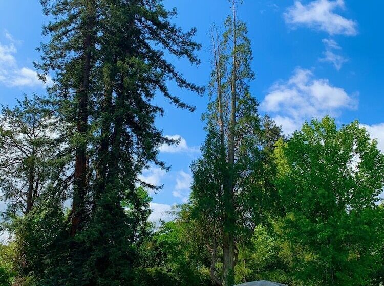 膳宿费 French Corréze Moulin Bleu