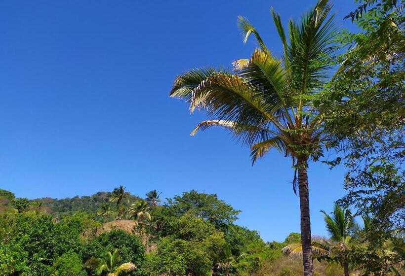 פנסיון Hostal Recuerdos Del Tayrona