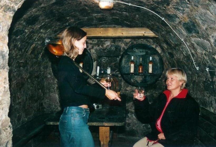 펜션 Jancsi és Juliska Vendégház