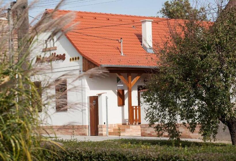 بنسيون Maushaus