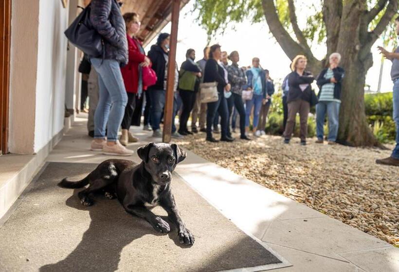 بنسيون Mézes Vendégház és Apiterápiás Központ