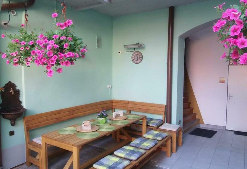 Пансион Penzion Netolice