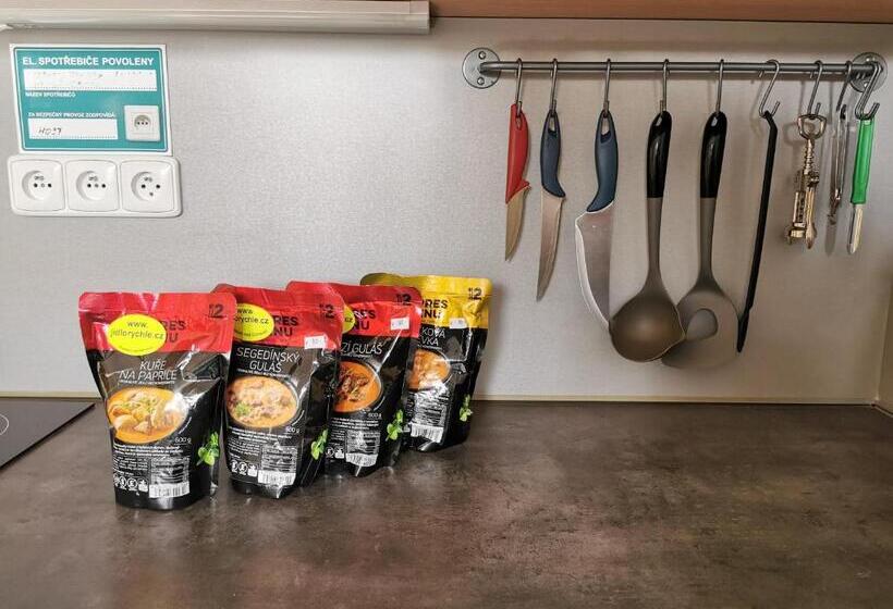 بنسيون Penzion Vincent