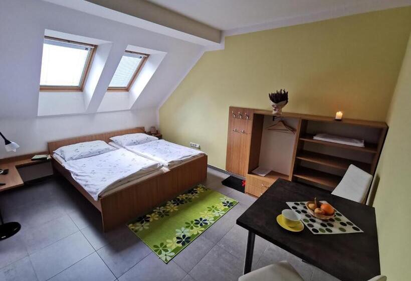 بنسيون Penzion Vincent