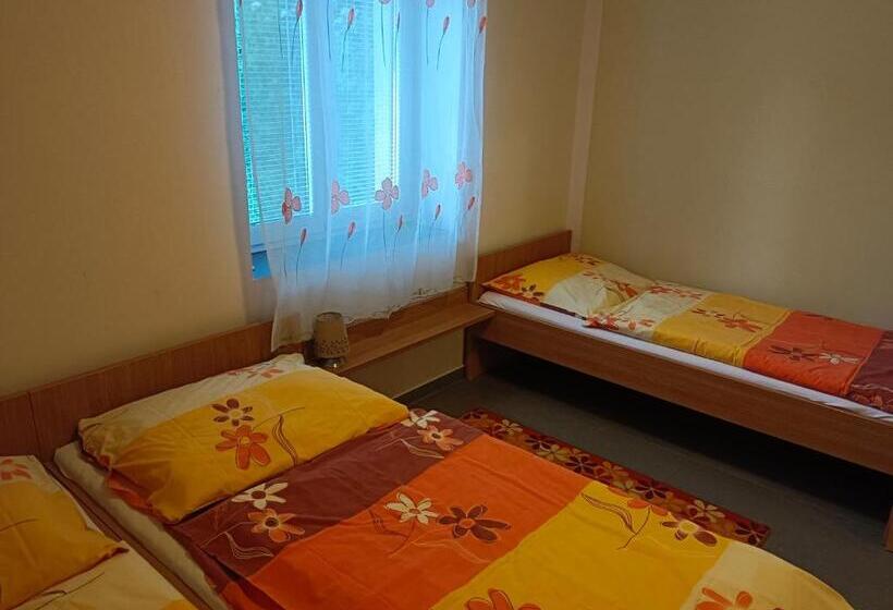 بنسيون Penzion Vincent