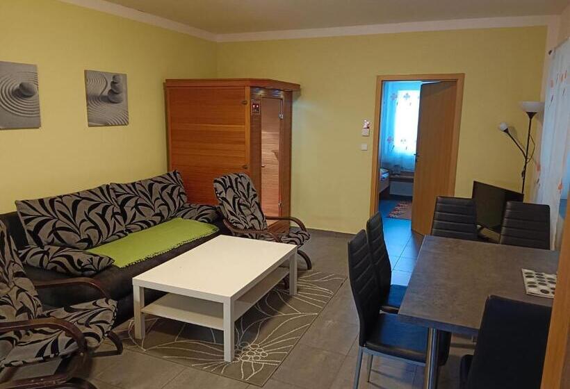 بنسيون Penzion Vincent