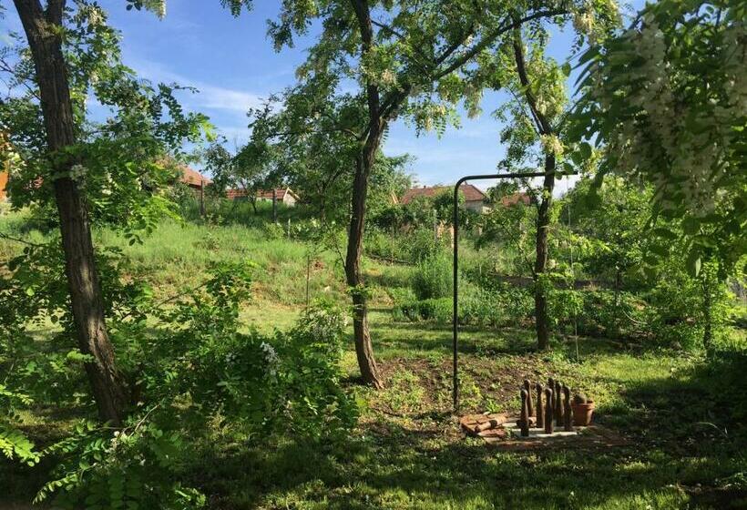 פנסיון úrágya Vendégház