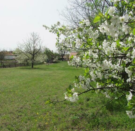 Пансион Rigófütty Vendégház