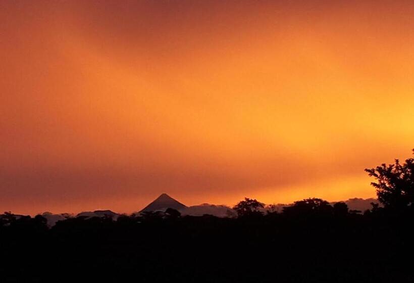 פנסיון Tropical Paradise Bungalows