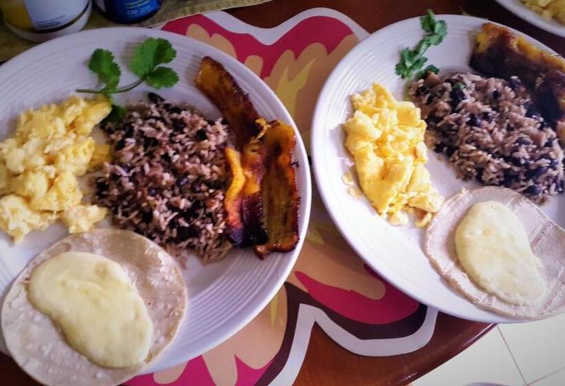 بنسيون Tropical Paradise Bungalows