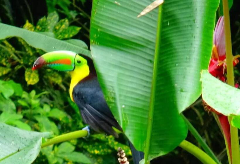 פנסיון Tropical Paradise Bungalows