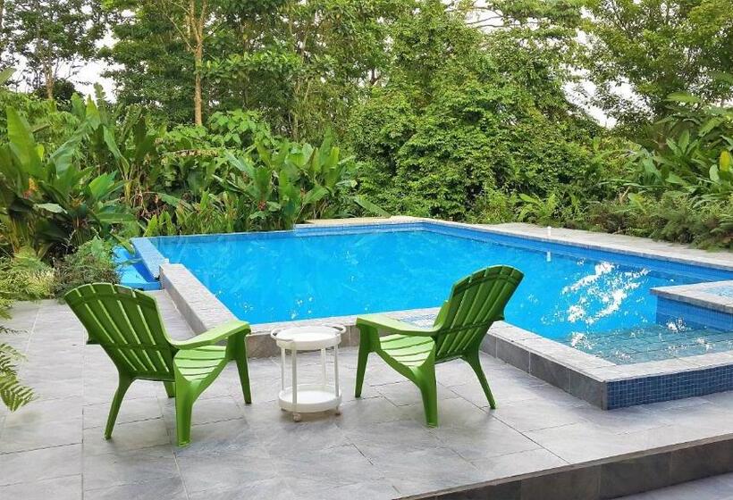 פנסיון Tropical Paradise Bungalows