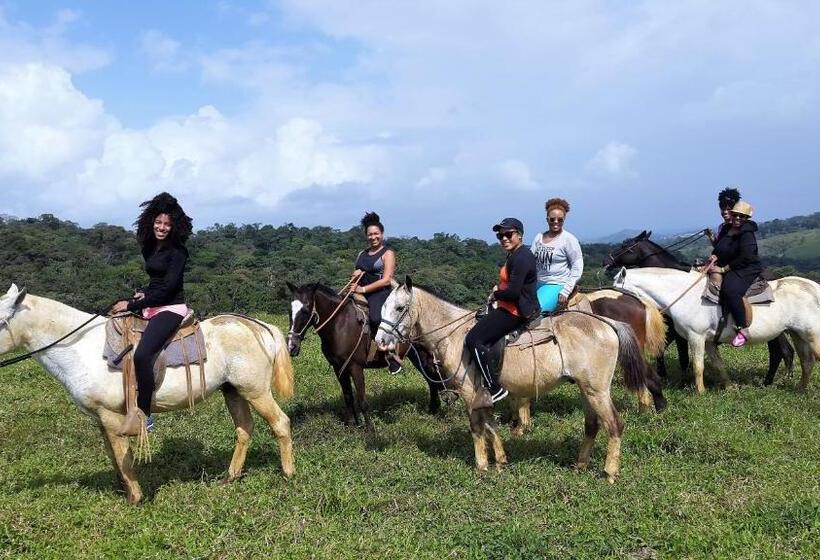 פנסיון Tropical Paradise Bungalows