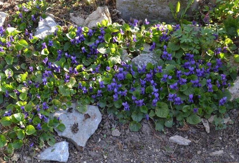 ペンション Vár Lak Vendégház