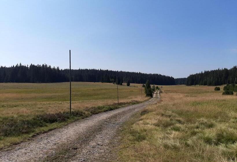 Pension & Fewo's Talblick