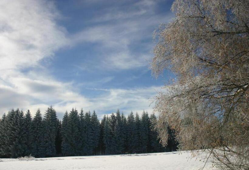 Pension & Fewo's Talblick