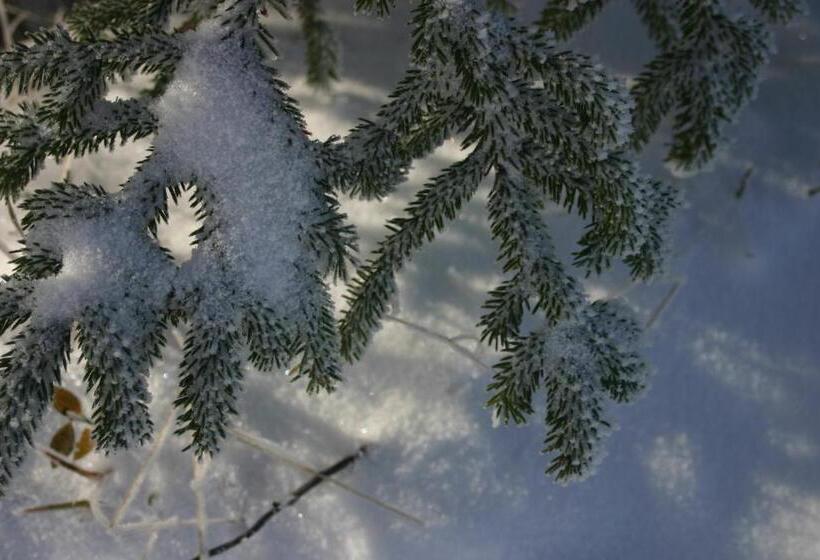 Pension & Fewo's Talblick