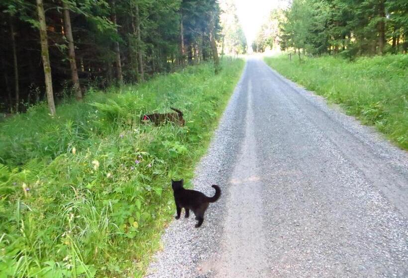 Pension & Fewo's Talblick