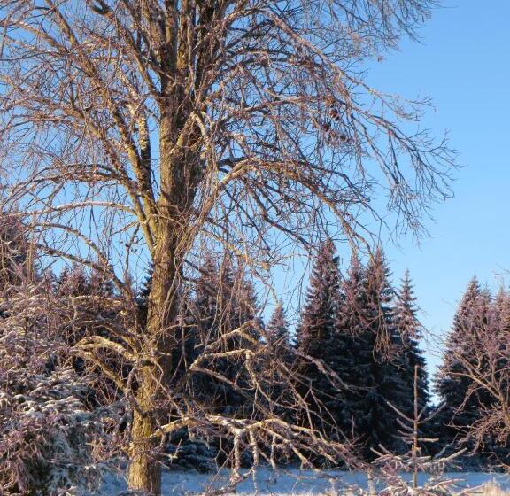 Pension & Fewo's Talblick