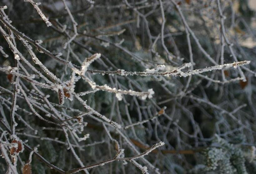 Pension & Fewo's Talblick