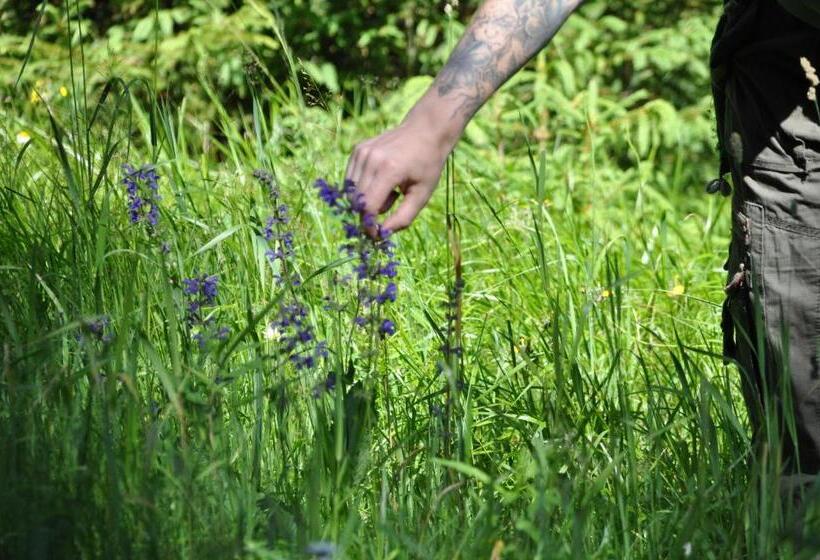 Pension & Fewo's Talblick