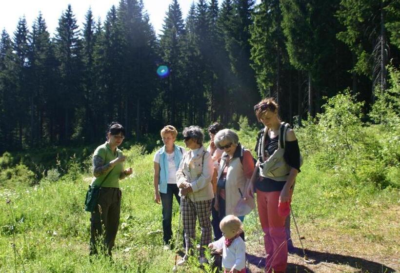 Pension & Fewo's Talblick