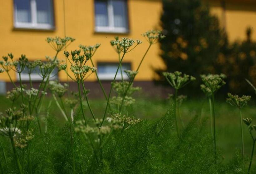 Pension & Fewo's Talblick