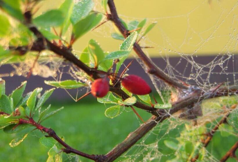 Pension & Fewo's Talblick