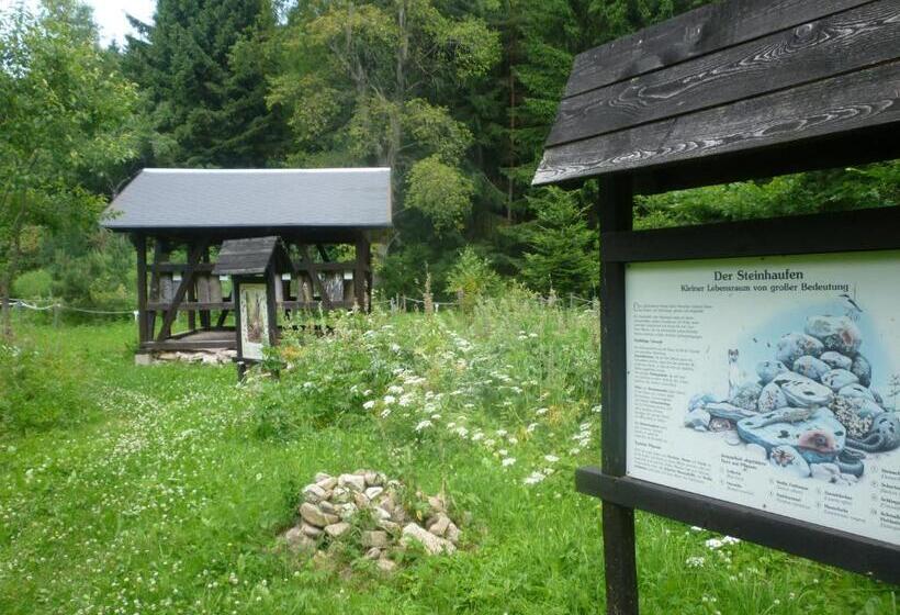 Pension & Fewo's Talblick