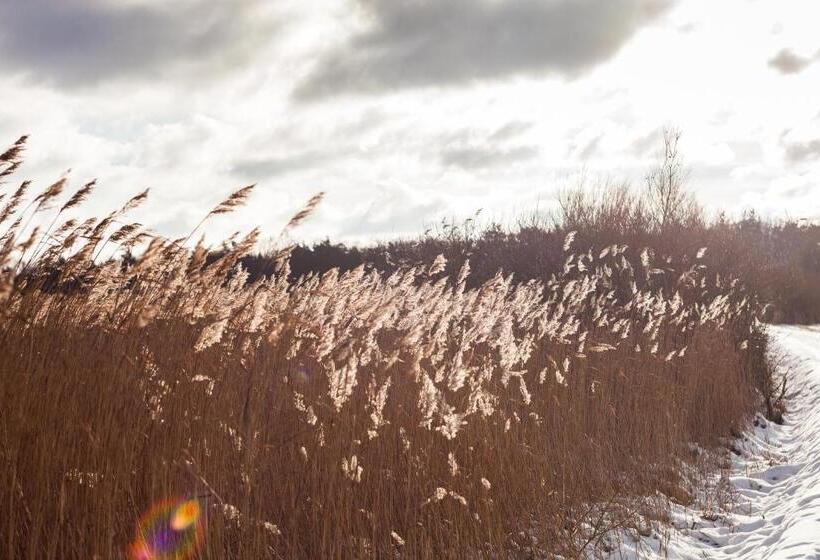 리조트 Ferienpark Markgrafenheide