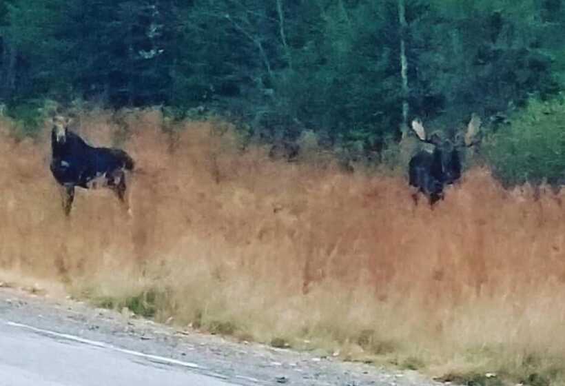 Spillover Motel And Inn