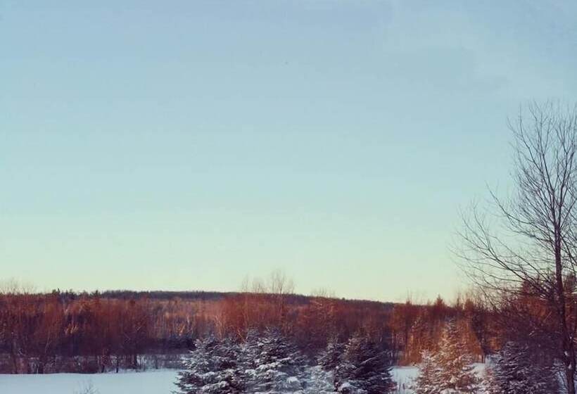 Spillover Motel And Inn