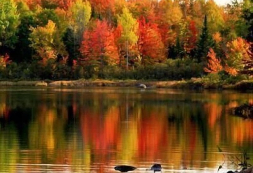 Spillover Motel And Inn