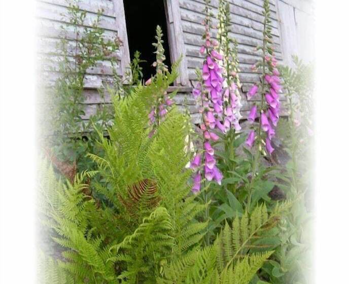 Spillover Motel And Inn