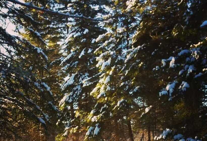 Spillover Motel And Inn