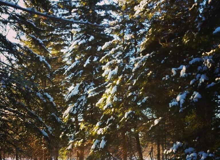 Spillover Motel And Inn