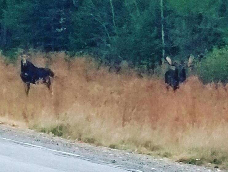 Spillover Motel And Inn