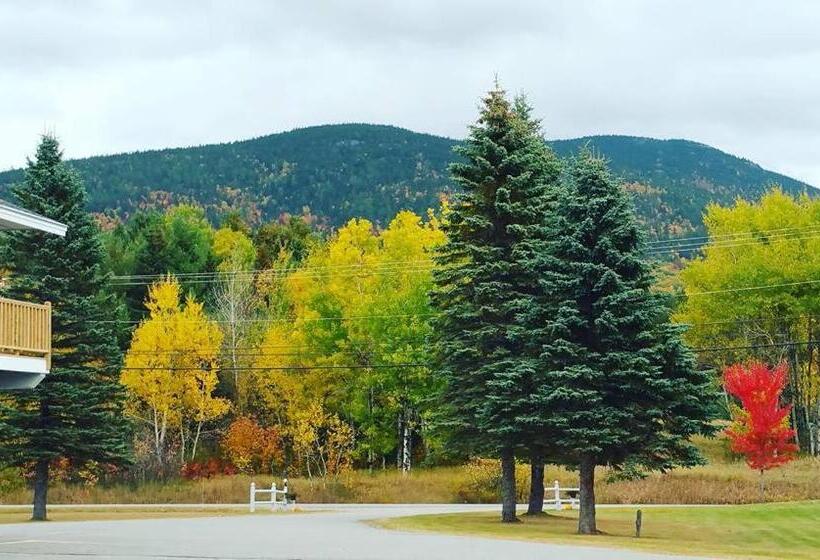 Spillover Motel And Inn